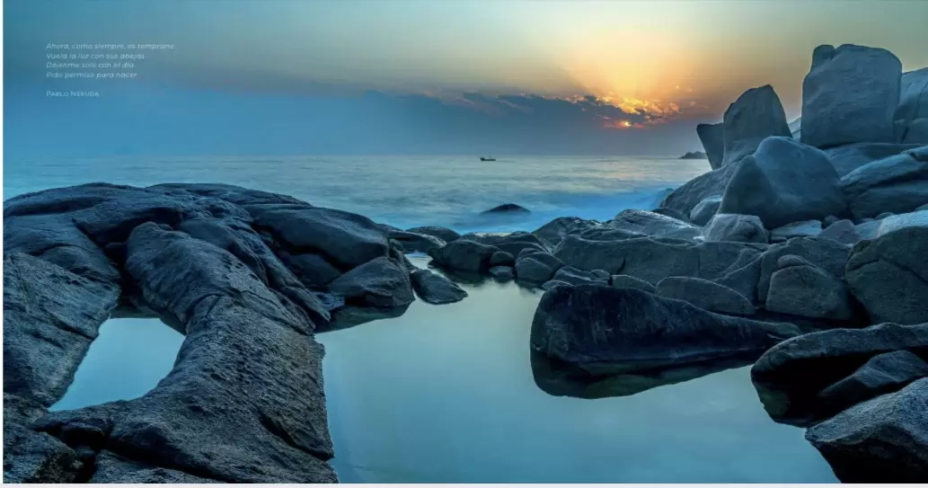 O projeto “Expedição Natureza da Ilha” estará na programação de aniversário de Florianópolis e na Maratona Cultural