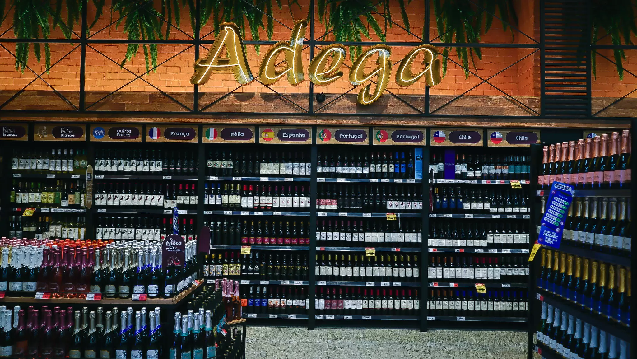 Grupo Koch estima crescimento de 37% na venda de vinhos e espumantes nas lojas da rede