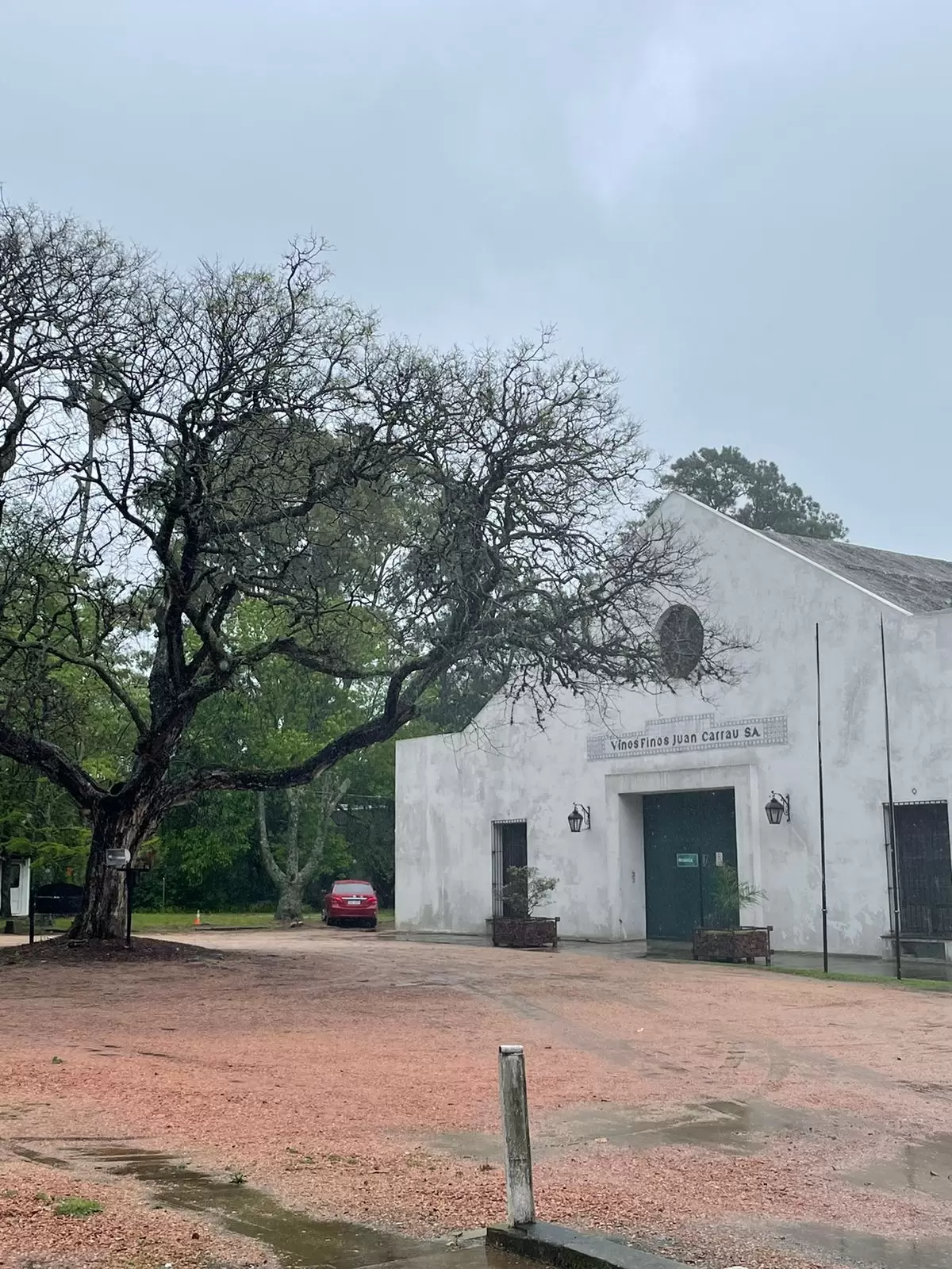 Bodegas Carrau, descobrindo o melhor do Uruguai