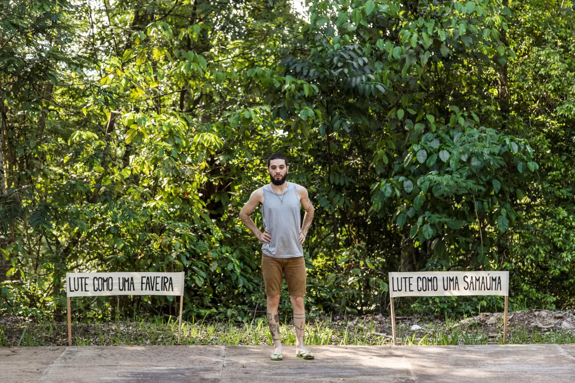 Artista recolhe memórias relacionadas a árvores para compor projeto em prol da consciência ambiental
