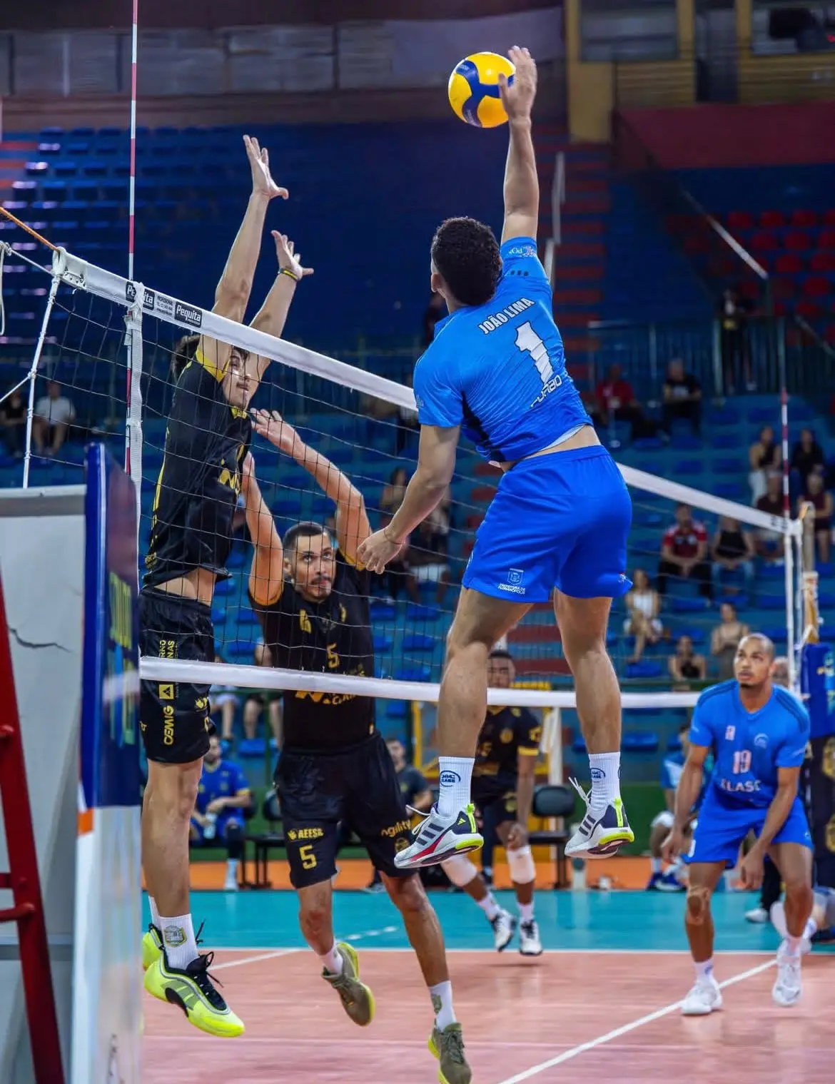 Vôlei: ELASE enfrenta APAN Blumenau amanhã (9), às 19h, com entrada gratuita