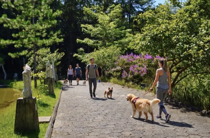 Cãominhada reúne pets e tutores em manhã de lazer e solidariedade no Parque Malwee