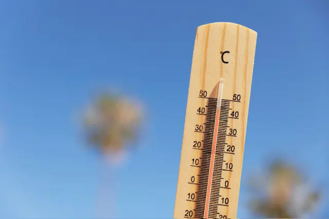 Calor escaldante: especialistas reforçam cuidados para manter a hidratação no verão