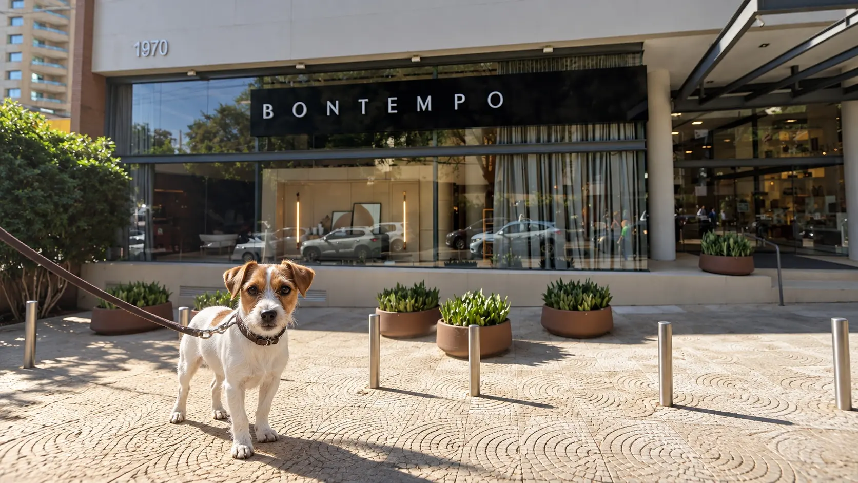 Bontempo Florianópolis comemora 30 anos com programação para crianças e pets no Centro da Capital
