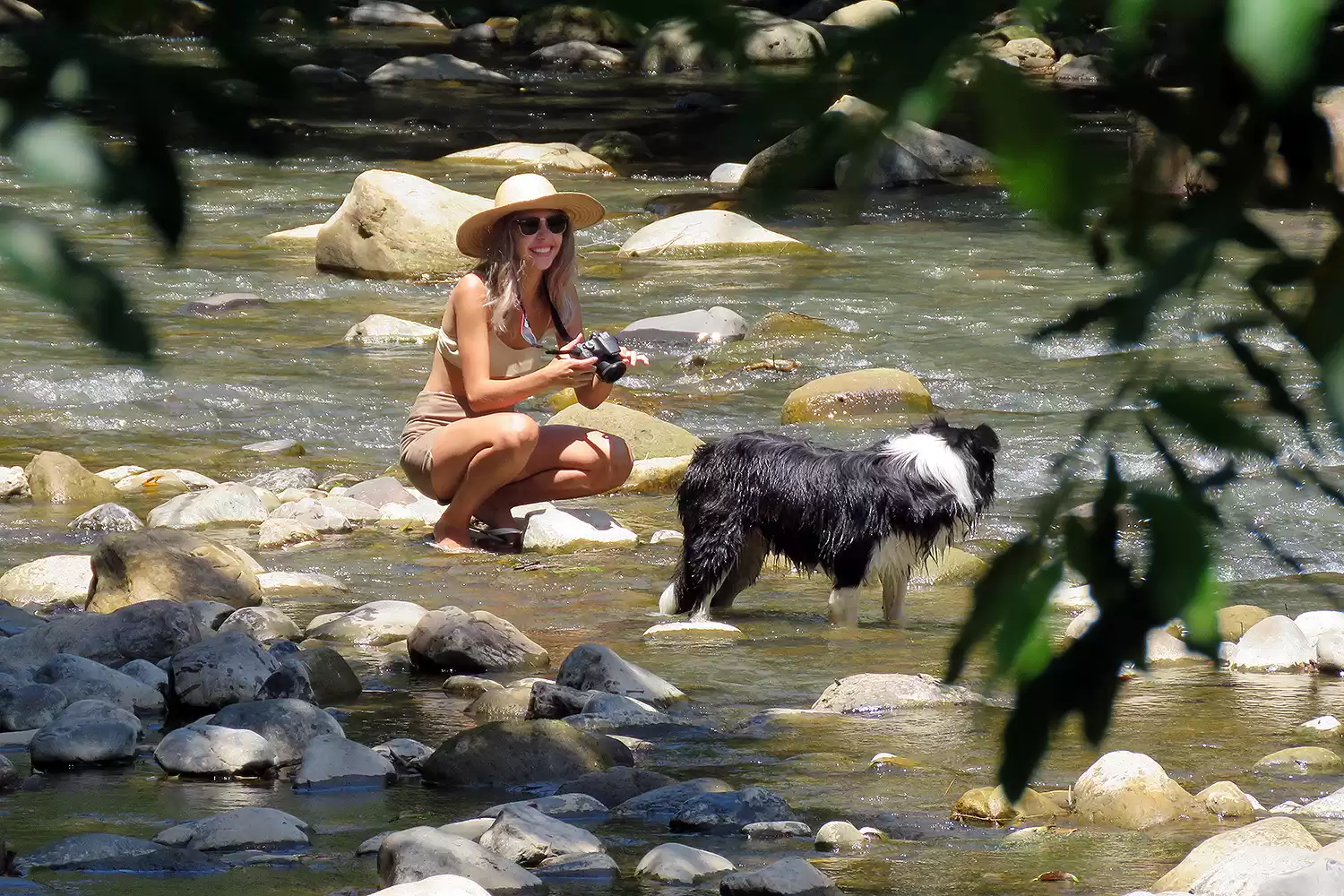 Em pousada de Santa Catarina, agosto é o Mês do Cachorro Solto