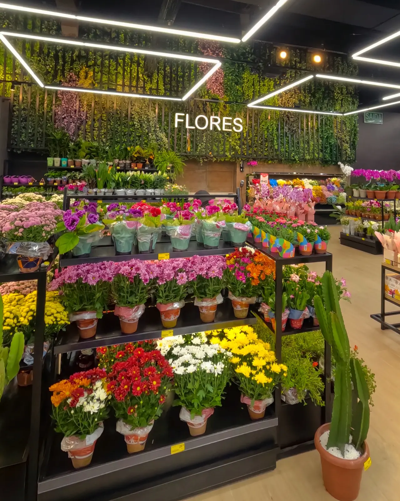 Flores, oficinas e novidades: 9ª Expo Flores Bistek celebra a chegada da Primavera