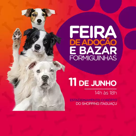 Feira de adoção de animais acontece neste sábado no Shopping Itaguaçu