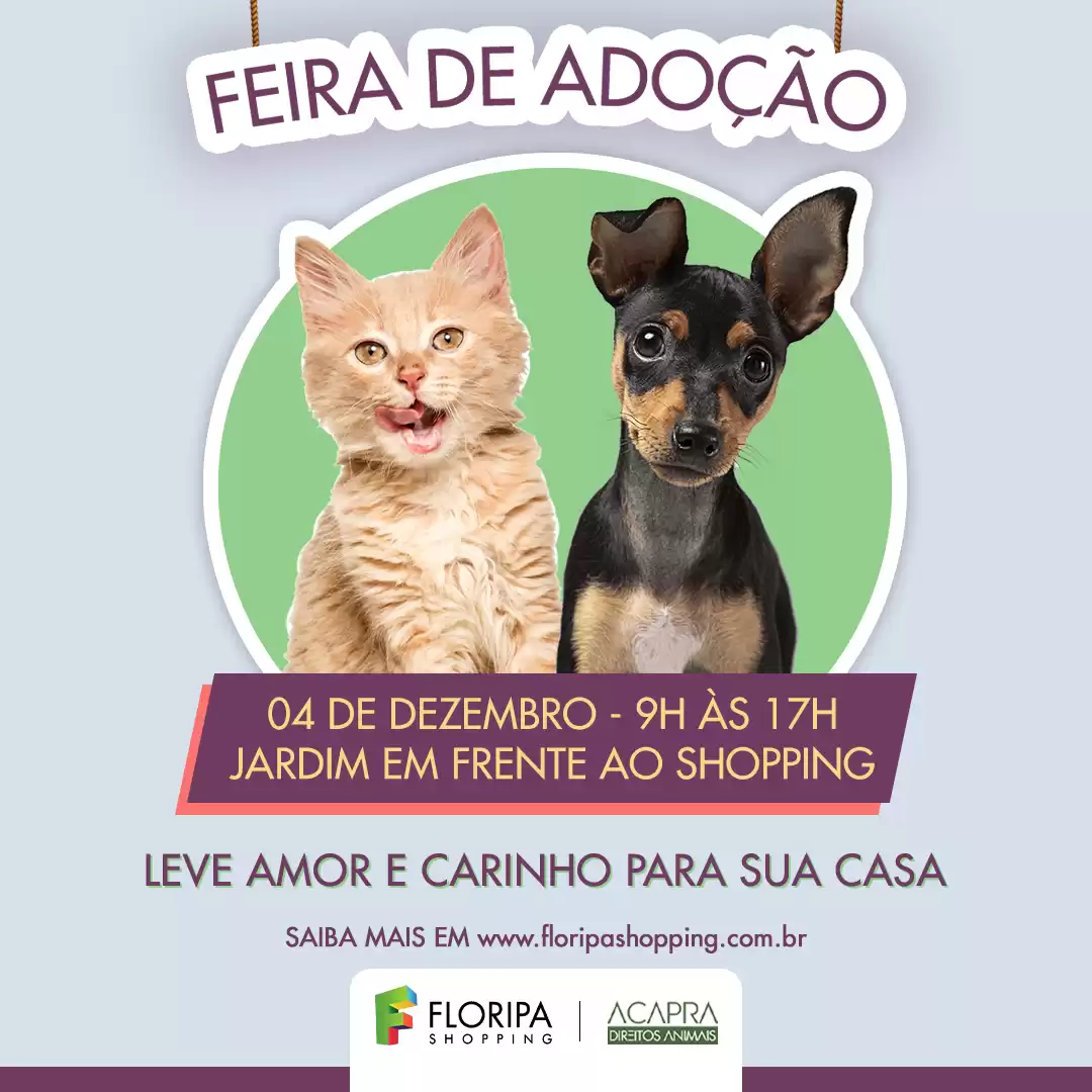 Feira de Adoção de Animais e Mutirão de Castração Social acontece no próximo mês, no Floripa Shopping