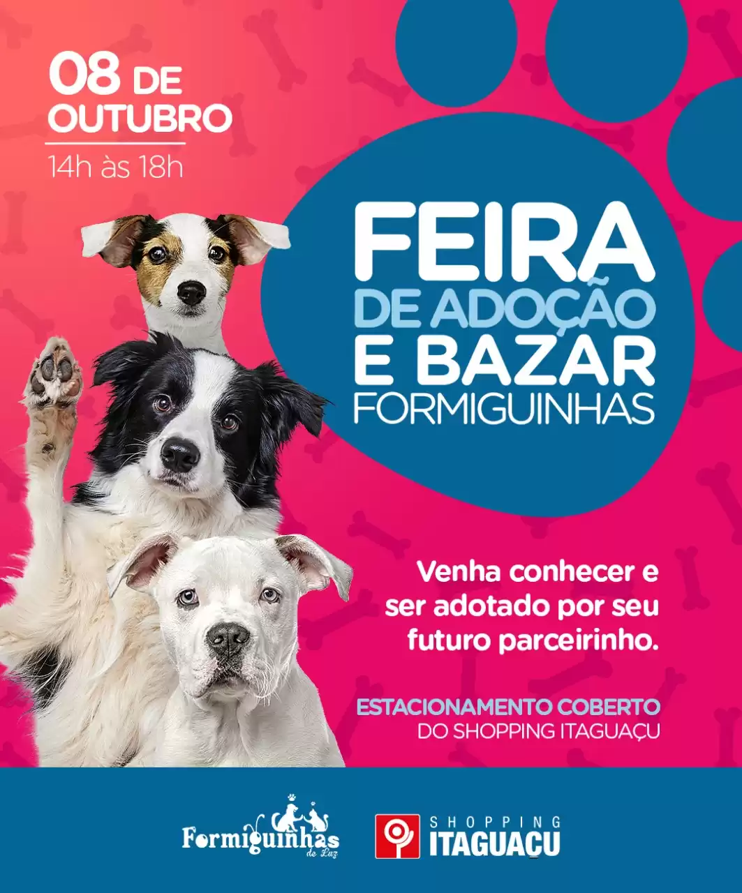 Feira de adoção de animais neste sábado no Shopping Itaguaçu