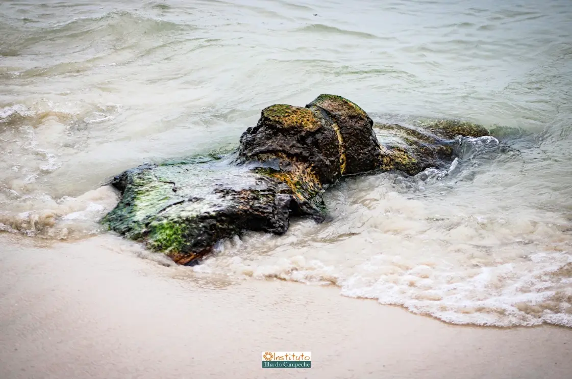 Ilha do Campeche: sítio arqueológico que emerge do mar revela vestígios da atividade baleeira 