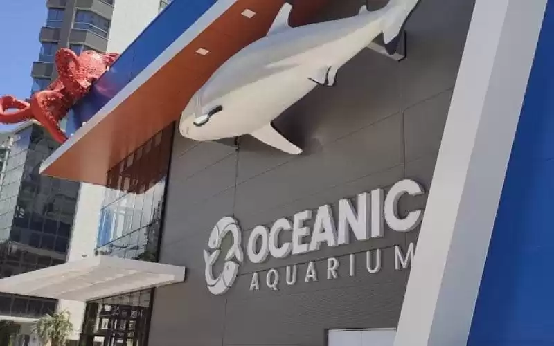Oceanic Aquarium lança passaporte anual