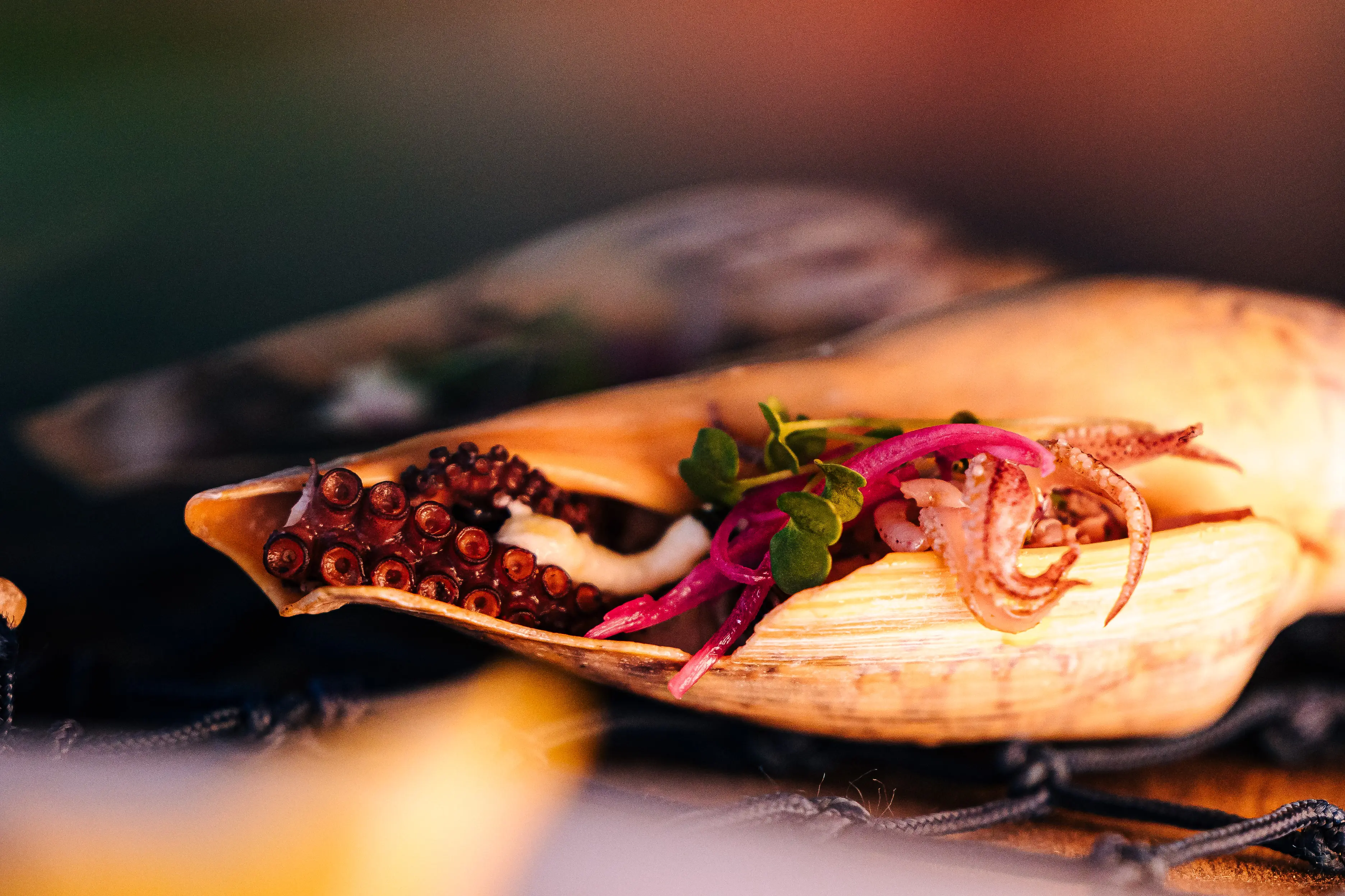 Sul da Ilha ganha novo Réveillon com gastronomia, música e lifestyle do Campeche