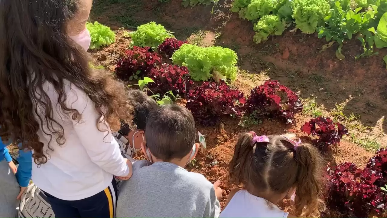 Projeto Horta incentiva alimentação saudável no CMEI Benta Pereira Florêncio