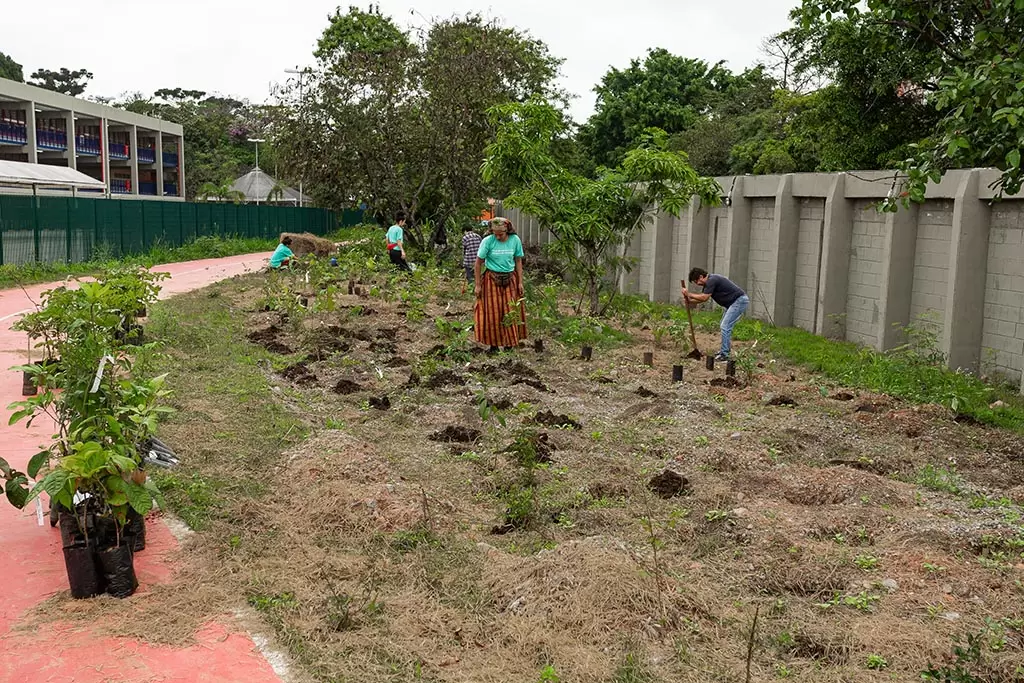 Breitling promove reflorestamento por meio da plantação de miniflorestas em áreas urbanas de São Paulo