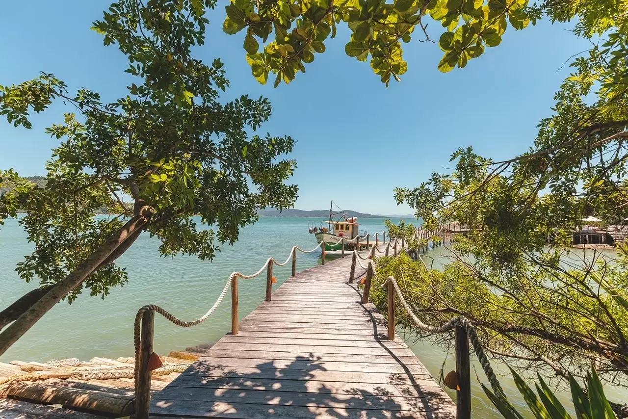 Em setembro, Ponta dos Ganchos Exclusive Resort celebra a ostra durante todo o mês e cria programa especial para o feriado da Independência