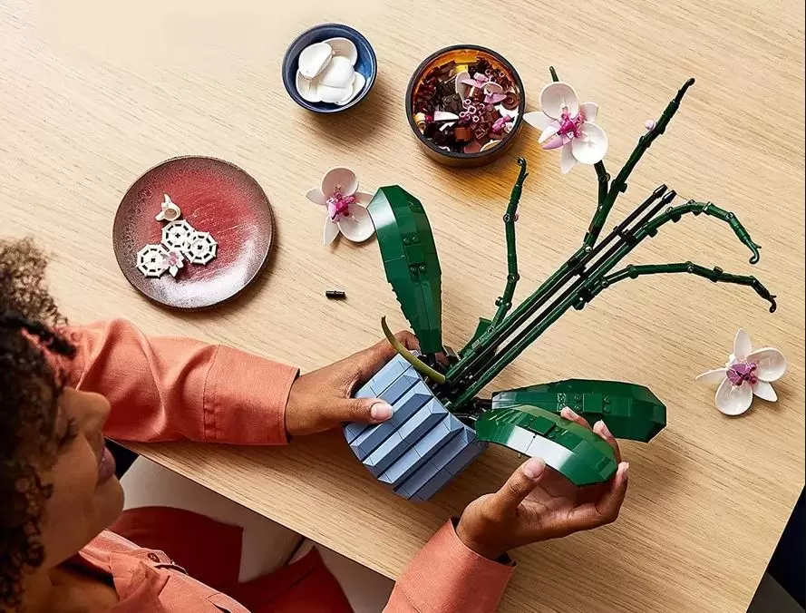 Celebre o Dia das Mães com a Coleção LEGO® Botanicals