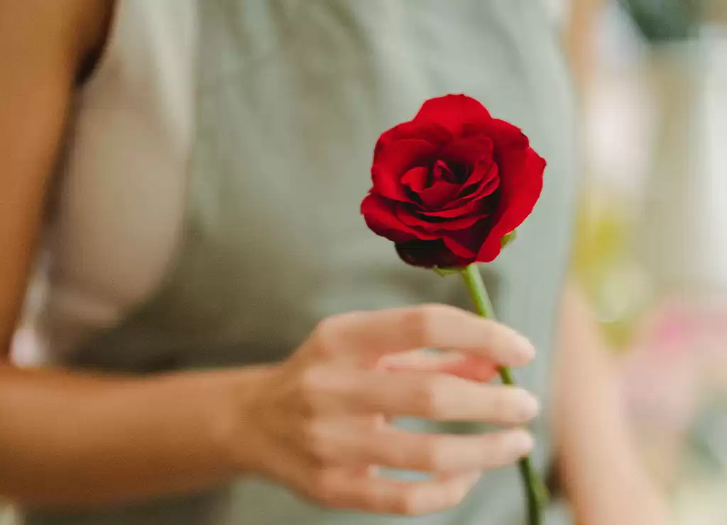 Especial fragrâncias femininas: descubra qual é o perfume ideal  para cada personalidade