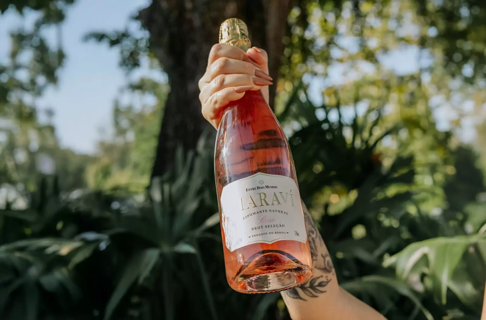 Espumante do Grupo Wine conquista medalha de ouro em concurso nacional
