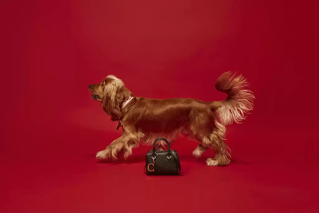 Mini Bags Carolina Herrera, campanha dogs