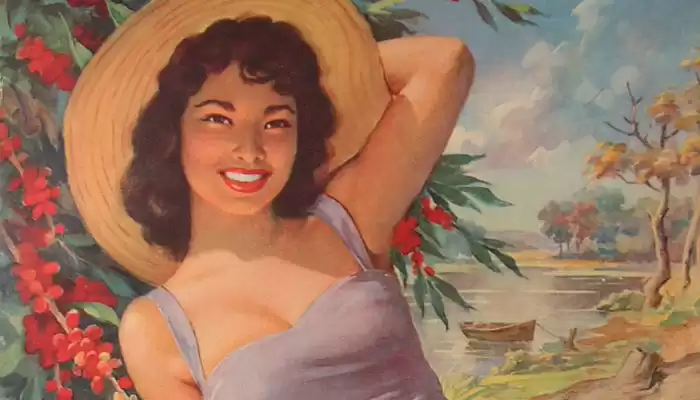 Pesquisa traça perfil das Pin-Ups Brasileiras