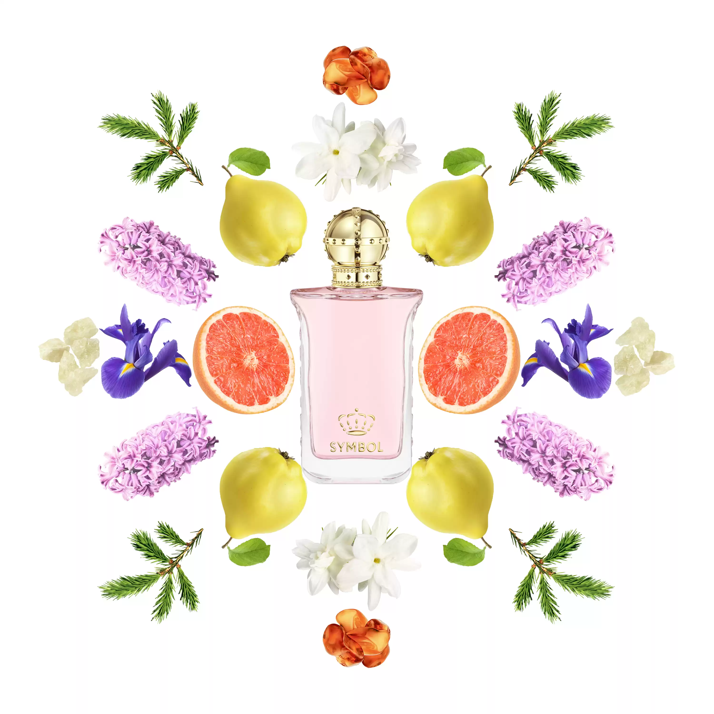 Symbol For a Lady: um perfume envolvente para mulheres autênticas 