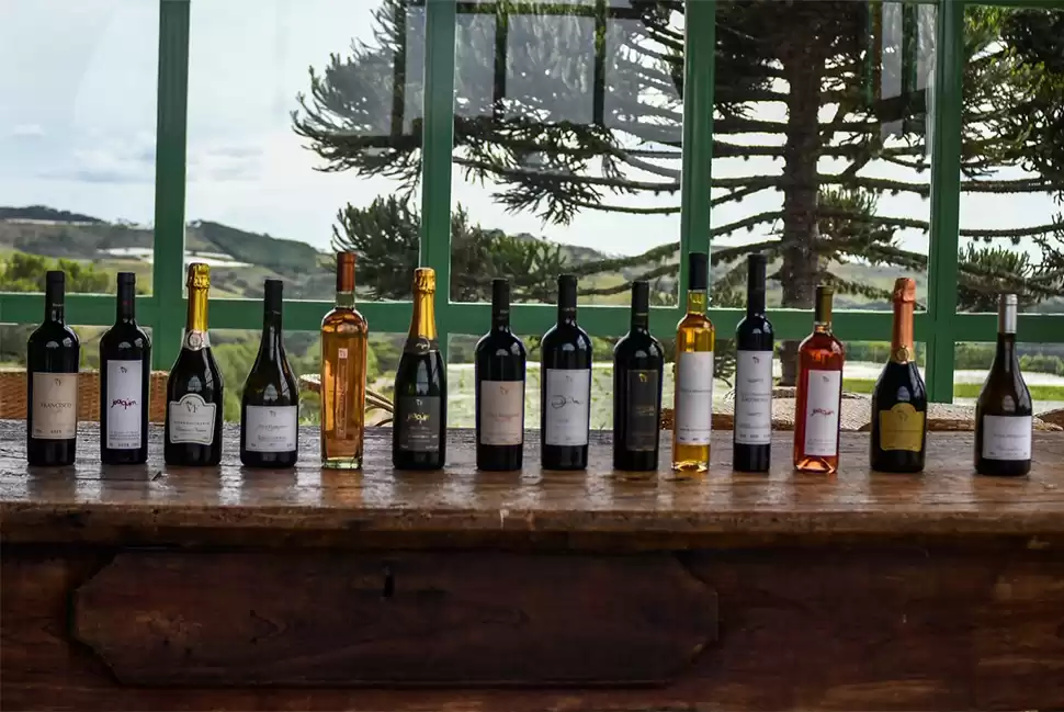 Villa Francioni tem nove vinhos classificados na Wines of Brazil Awards 2020